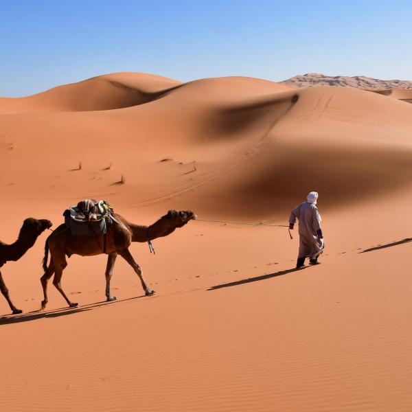 Nomades et oasiens de l'erg Chebbi : voyage solidaire Vision du Monde