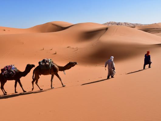Nomades et oasiens de l'erg Chebbi : voyage solidaire Vision du Monde