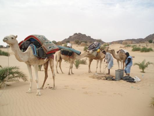 Dunes et Oasis de l'Adrar : voyage solidaire Vision du Monde